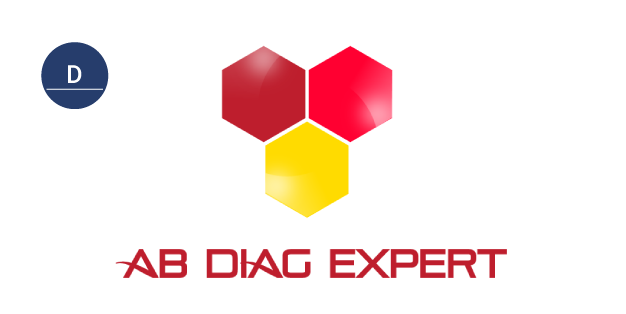 You are currently viewing AB DIAG EXPERT